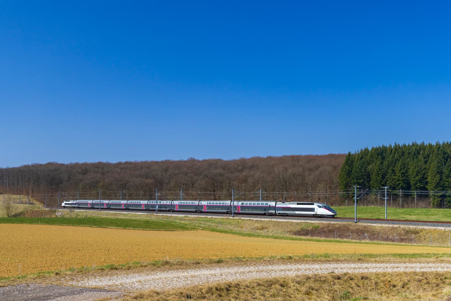 Multiple injured following high speed train crash in France