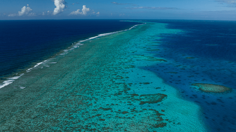 Man dies in shark attack on Australia’s Great Barrier Reef Man dies in shark attack on Australia’s Great Barrier Reef