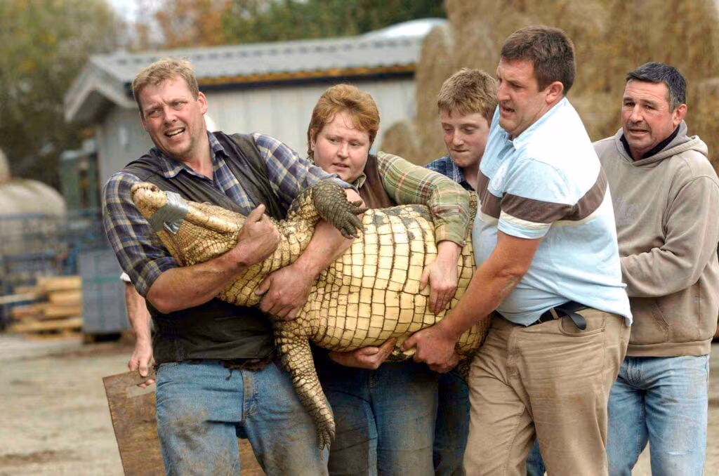 Mother father and son jumped into crocodile pit to save boy, new details reveal