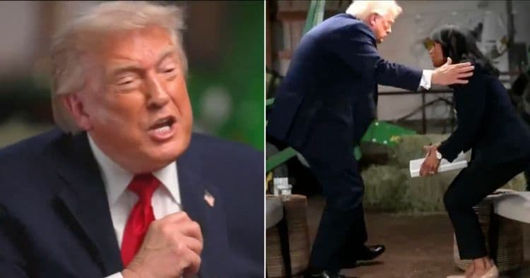 Trump has meltdown as he storms out of interview calling host ‘crooked or stupid’ Trump has meltdown as he storms out of interview calling host ‘crooked or stupid’