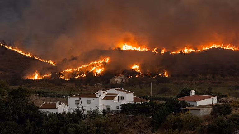 Parts of Spain and France devastated by wildfire Parts of Spain and France devastated by wildfire
