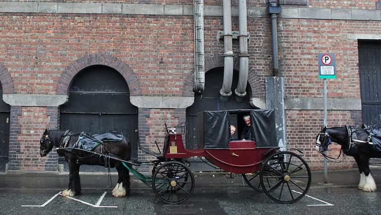 Viral tourist post on Dublin horse and carriage “scams” is “damaging Ireland” Viral tourist post on Dublin horse and carriage “scams” is “damaging Ireland”