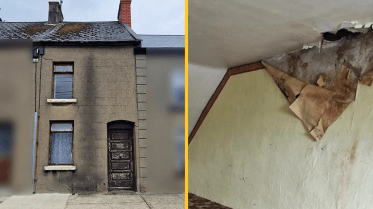 This €120k Wexford property listing is splitting opinion online This €120k Wexford property listing is splitting opinion online