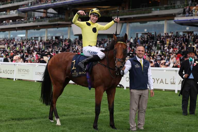 Bow Echo retired: Unbeaten superstar colt’s career cut short Bow Echo retired: Unbeaten superstar colt’s career cut short