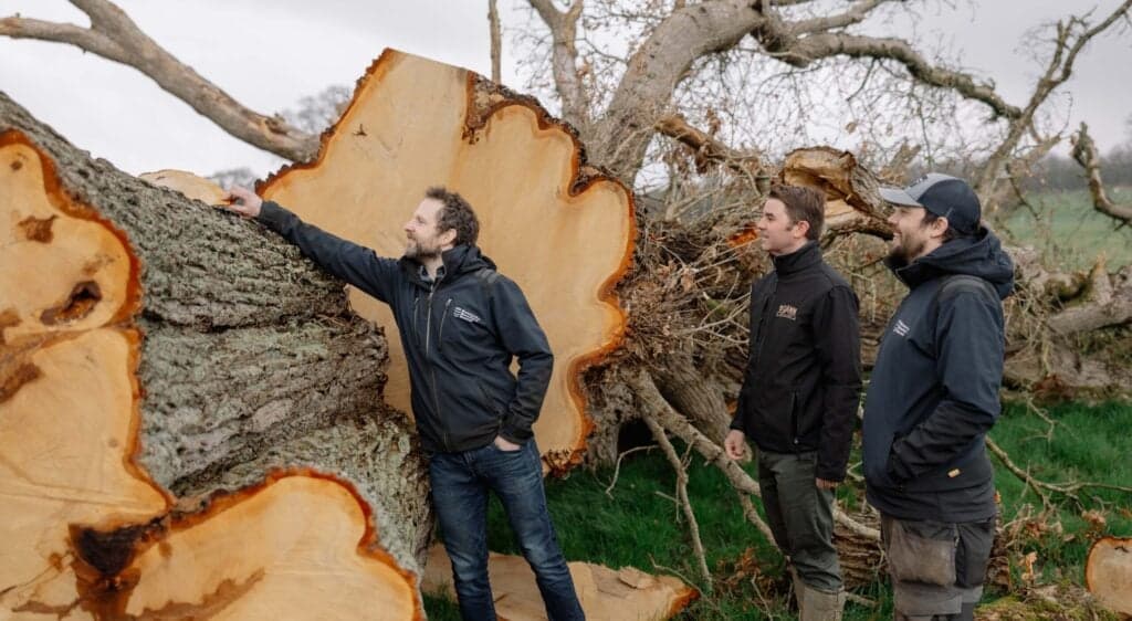 Fallen Irish trees turned into whiskey barrels