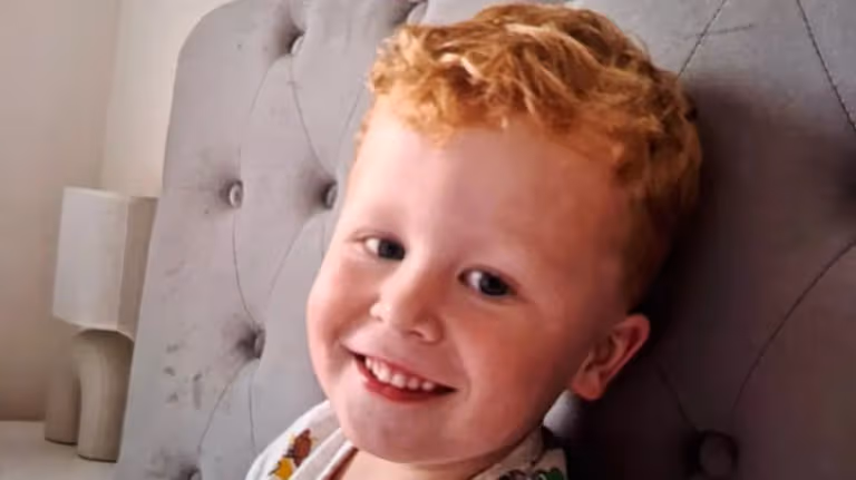 Urgent search: Police appeal to residents to check outbuildings for missing toddler Urgent search: Police appeal to residents to check outbuildings for missing toddler
