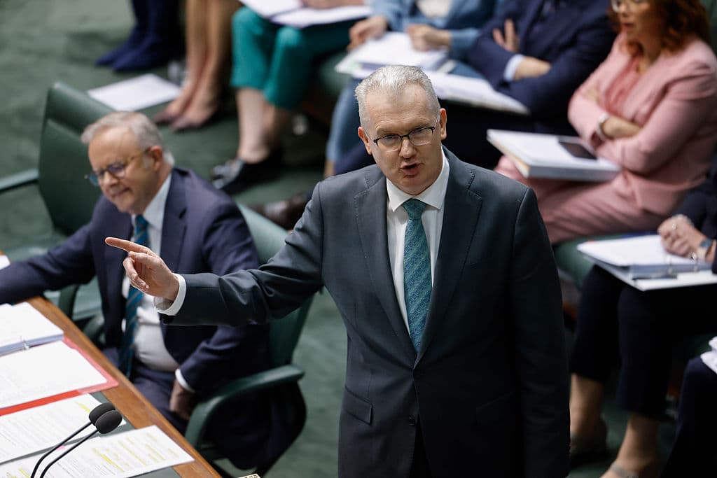 Immigration Minister Tony Burke.