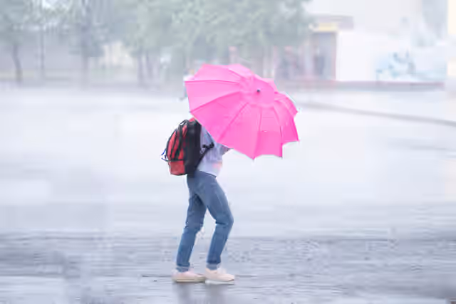 Status yellow warnings issued for seven counties as rain and wind sweep in Status yellow warnings issued for seven counties as rain and wind sweep in