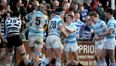Schools Profile: Blackrock College