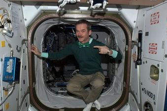 Video: Chris Hadfield sang Space Oddity live on the Late Late last night