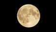 Pic: China just landed on the Moon