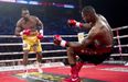 Video: Epic KO and joyous celebrations from Canadian heavyweight