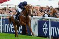 JOE marks your calendar for the sporting week ahead