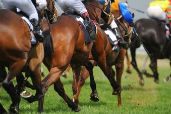 Bookies stung for €18m in one of the most improbable days of horse racing you’ll ever see