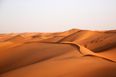 Picture: They’re even supporting Mayo in the middle of the desert today