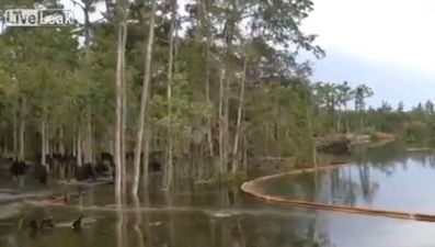 Video: Mad footage of sinkhole in the US swallowing trees in seconds
