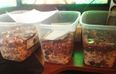 Pic: Scorned woman pays divorce settlement in coins