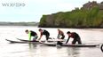 Video: How about a bit of Wexford in the summertime?