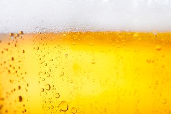 Picture: What does your choice of beer say about you?