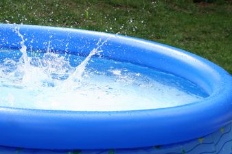 Video: This is one of the best belly flops you’ll ever see