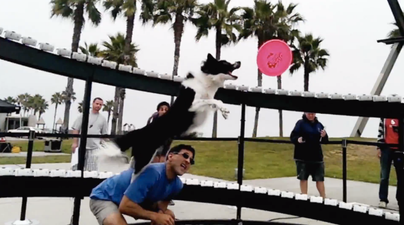 Video: Matrix-style ‘bullet time’ recreated with 130 smart phones