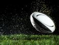 Vine: This South Africa rugby supporter was determined not to make a tit of herself on TV