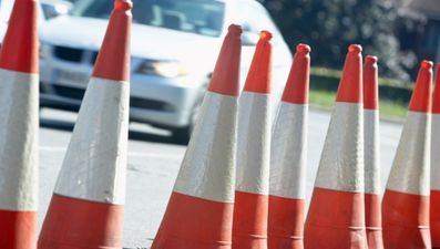 Pic: Brilliant Halloween costumes stop traffic in Dublin