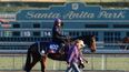 Ladbrokes’ Hayley O’Connor talks us through the Breeders’ Cup, the Melbourne Cup and the meaning of class
