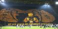 Dortmund really in the shi* as pigeons creating serious problems at the Westfalenstadion