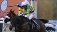 Pics: AP McCoy’s joy as he claims 4,000th winner