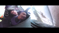 Video: Woman remains surprisingly calm after flipping SUV