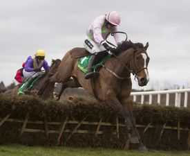 The Tote Beginner Guide to Leopardstown this Stephen’s Day