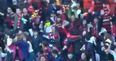 Video: Commentators go crazy as Pohang Steelers win South Korean league with last-gasp almighty goalmouth scramble