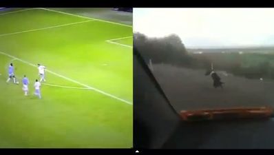 Video: Proof that Roger Johnson’s defending was just like that crazy dog from Roscommon