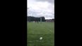 Video: Midlands Warriors RFC player kicks epic trick shot penalty