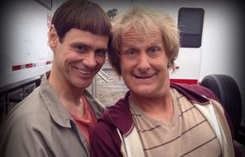 Scientists have discovered a virus that makes people dumber