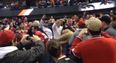 Vine: Fans brawl in the stands because no amount of fighting is enough at an NHL game