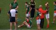 Video: Check out the trailer for this documentary about Mayo’s curse and their quest for Sam