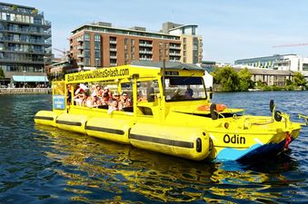Picture: Even the folks at the Viking Splash Tours can’t escape the clampers
