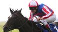 Johnny Murtagh hangs up his whip to concentrate on training full time