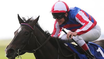 Johnny Murtagh hangs up his whip to concentrate on training full time