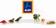 Aldi plan to roll out a free shuttle bus service for every college campus