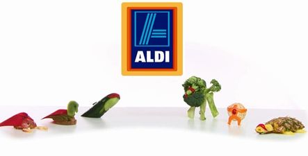 Aldi plan to roll out a free shuttle bus service for every college campus