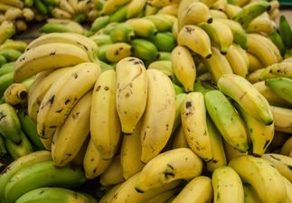 Pic: In Mexico, the cops carry their bananas in style