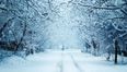 Pics: So it’s snowing pretty heavily in Mayo right now