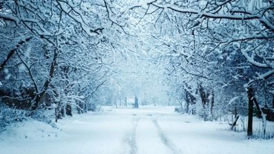 Pics: So it’s snowing pretty heavily in Mayo right now