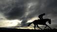 Pints, punts and loads of cash; Cheltenham Festival by the numbers