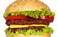 Pic: Cheesus! Would you be man enough to take on this three-tier, 10,000 calorie cheeseburger?