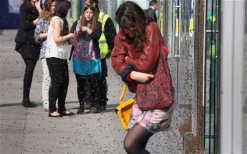 Video: Wait, how did thousands of bees suddenly appear on a busy London street?