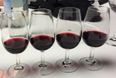 Campo Viejo Red Wine Guide